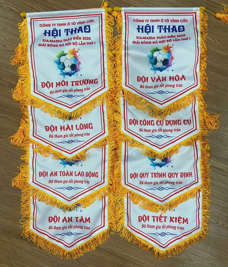 co-giai-da-bong-luu-niem