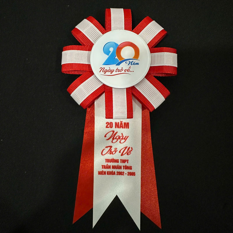 hoa-cai-ao-20-nam-ngay-tro-ve